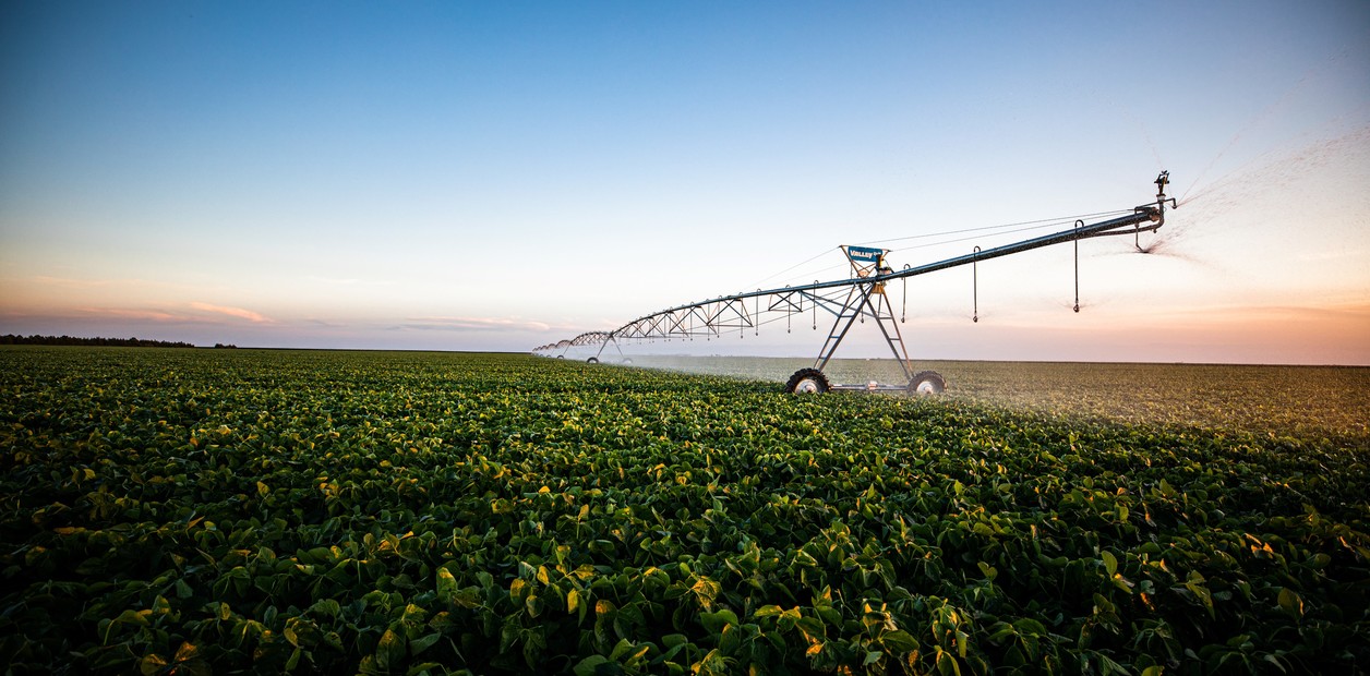3.300 ha — Campo agrícola y ganadero en Soriano – 1