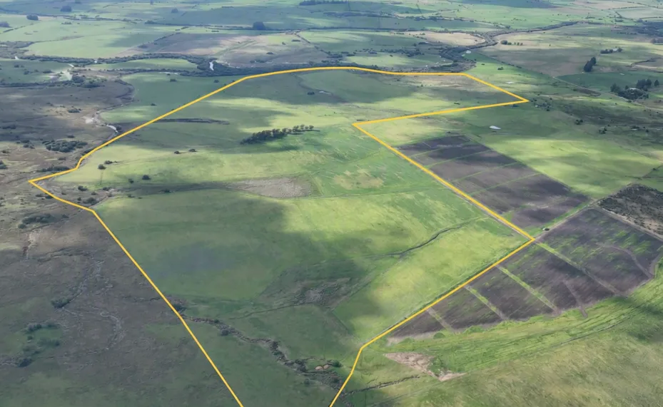 155 Hektar in Colonia mit großem landwirtschaftlichen und viehwirtschaftlichen Potenzial – 1