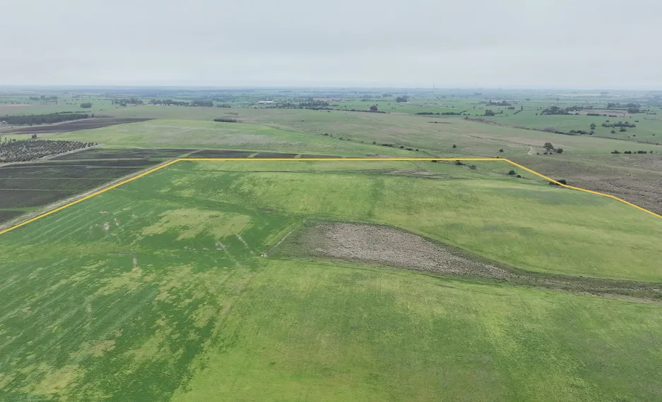 155 Hektar in Colonia mit großem landwirtschaftlichen und viehwirtschaftlichen Potenzial – 12