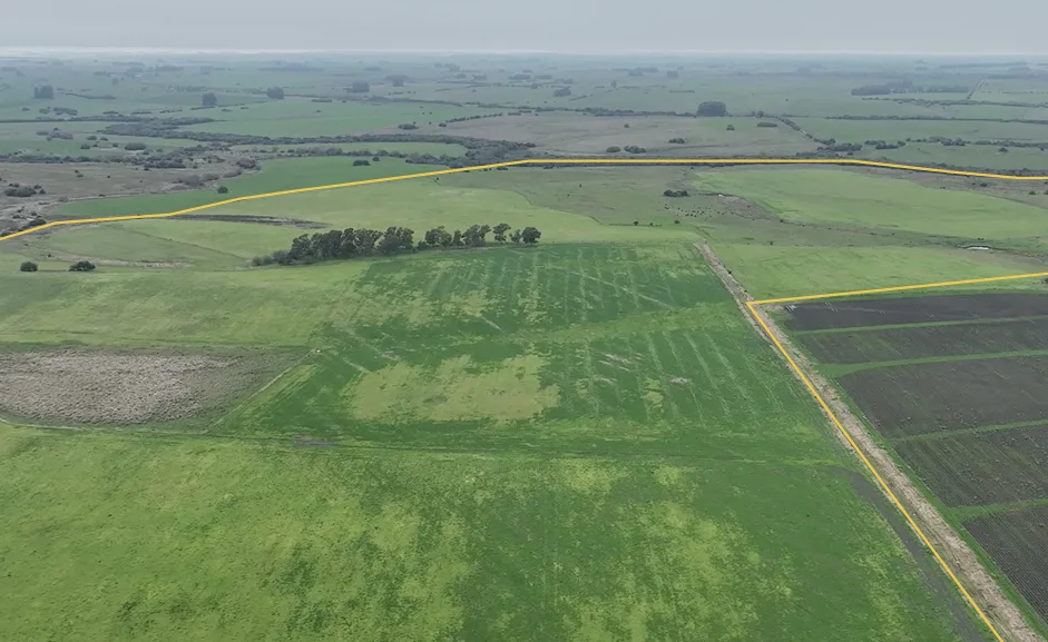 155 Hektar in Colonia mit großem landwirtschaftlichen und viehwirtschaftlichen Potenzial – 4