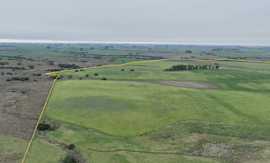 155 Hektar in Colonia mit großem landwirtschaftlichen und viehwirtschaftlichen Potenzial – 9