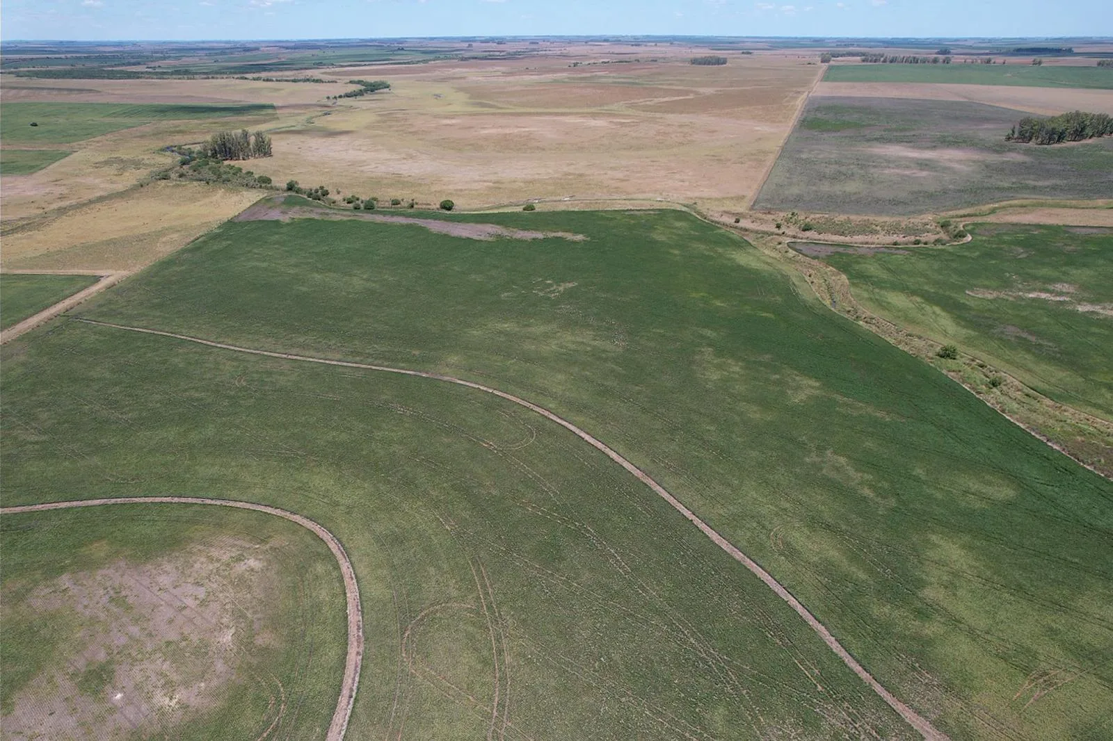 324 ha — Oportunidad agrícola de alta calidad en Soriano – 2
