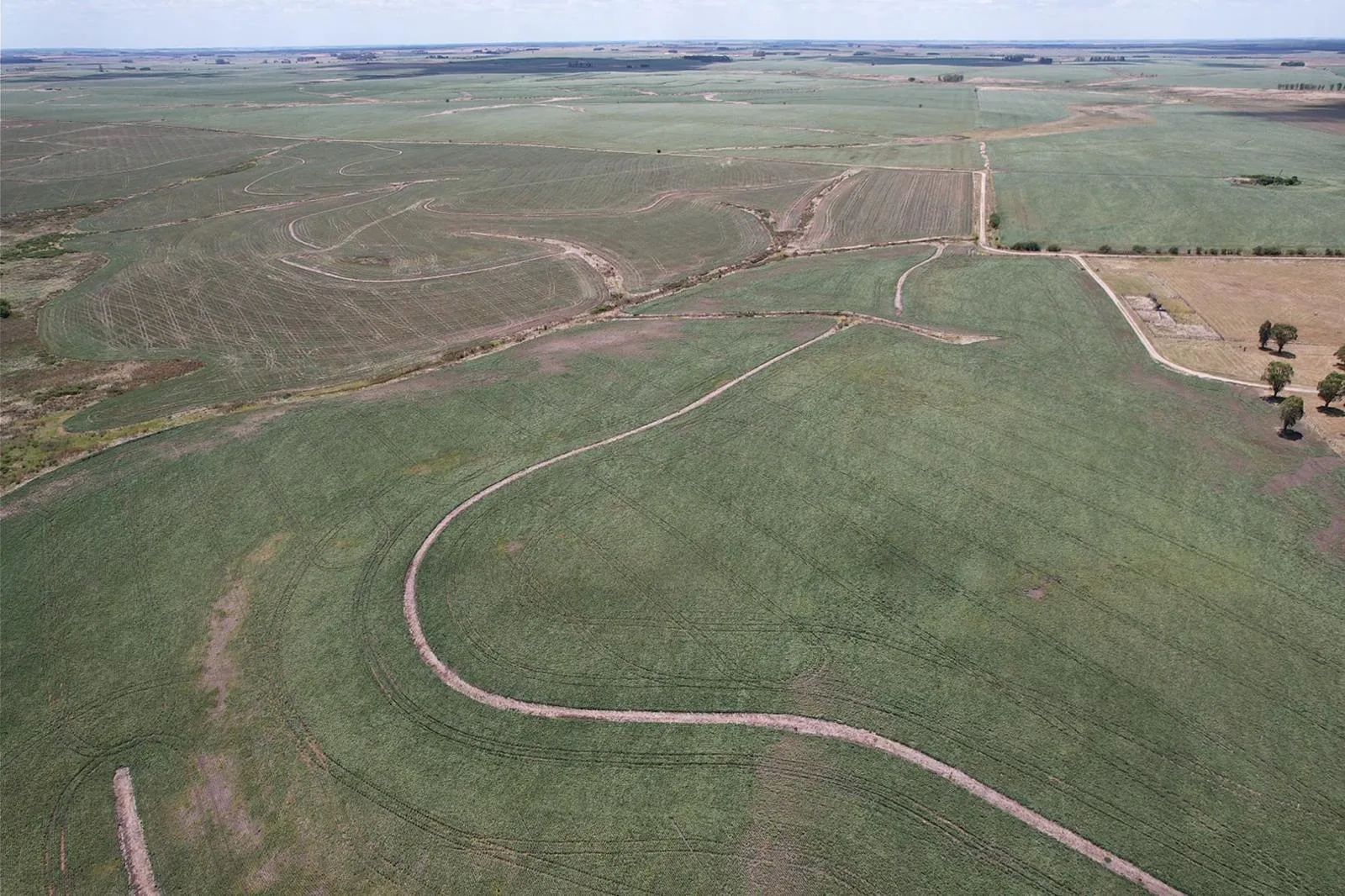 324 ha — Oportunidad agrícola de alta calidad en Soriano – 4