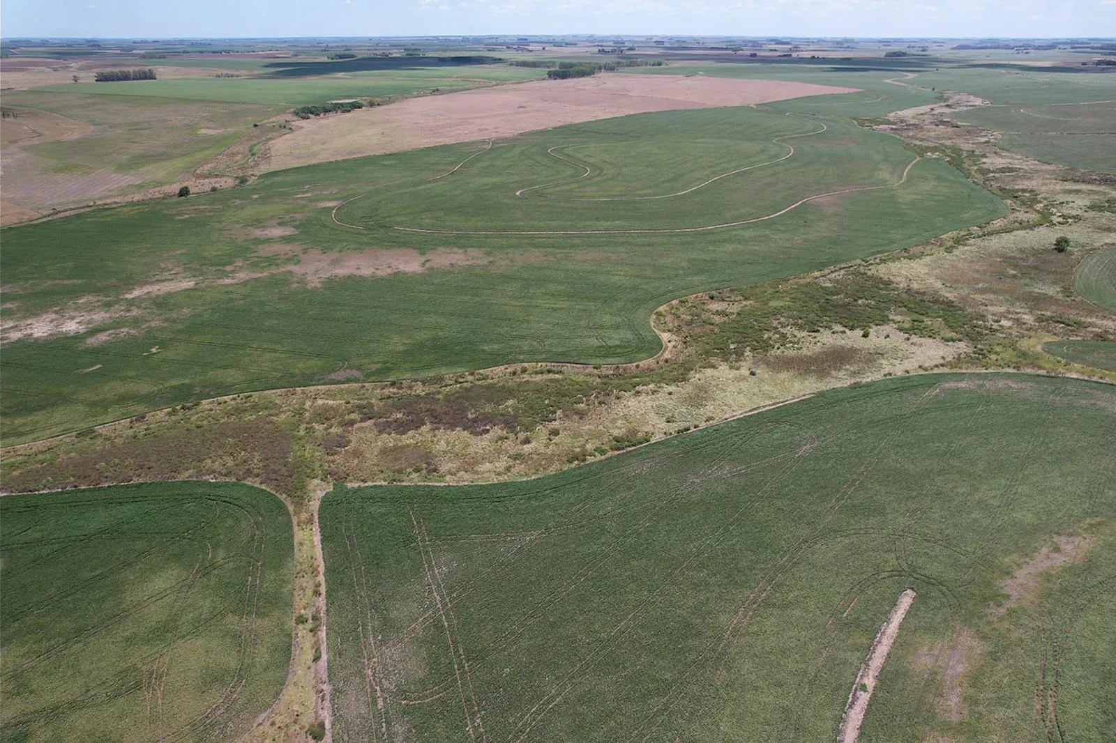 324 ha — Oportunidad agrícola de alta calidad en Soriano – 7