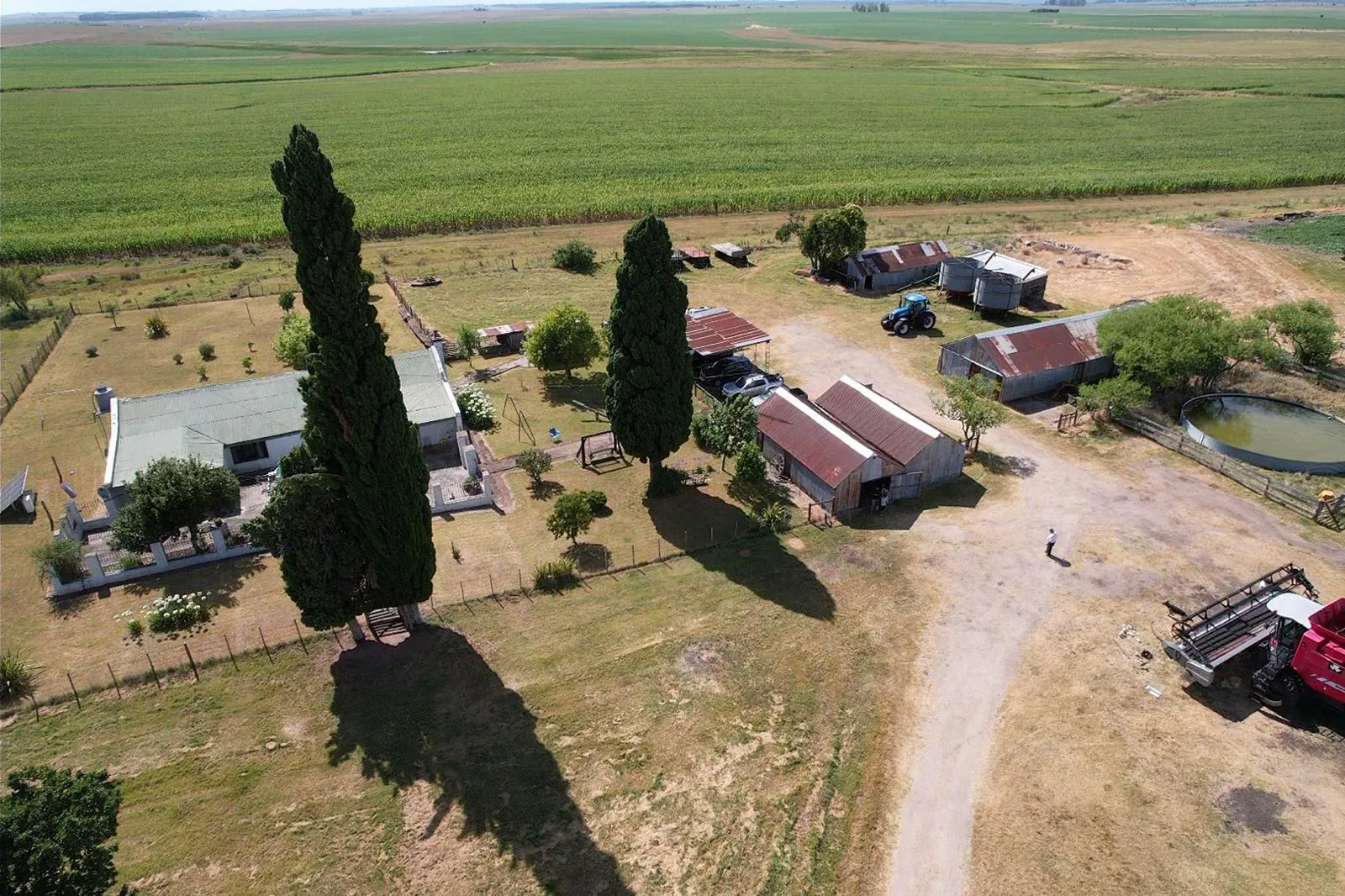 324 ha — Oportunidad agrícola de alta calidad en Soriano – 10