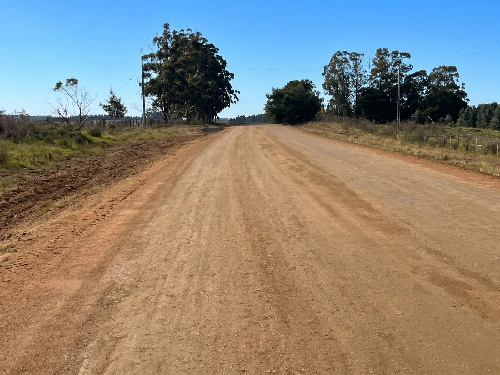 173 Hectares in Uruguay: Forest & Livestock Investment with Immediate Returns and High‑Value Timber Harvests – 10